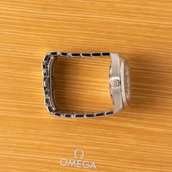 Omega Aqua Terra 150m Gents 220.10.41.21.10.001